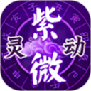 疾风视频播放器