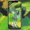 视觉3D